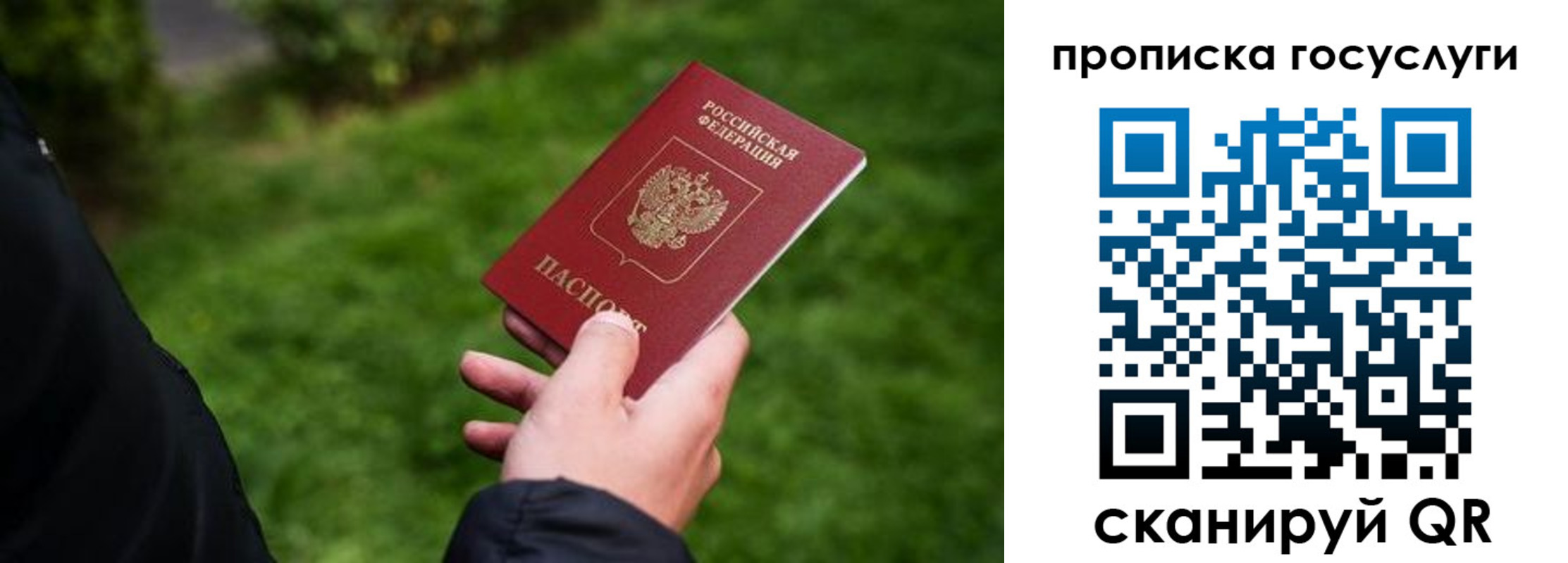 прописка для работы в Курчалом